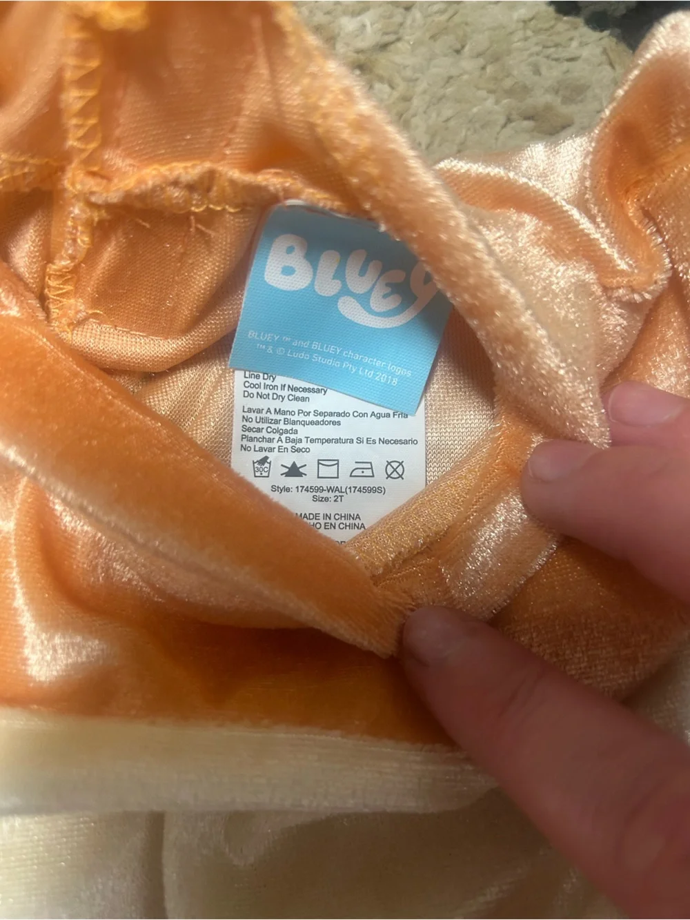 Bluey euc toddler